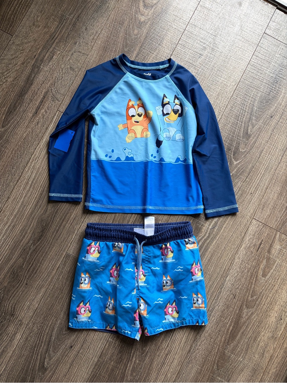 Bluey Swim Set